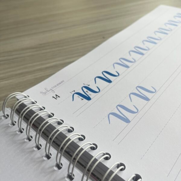 Libro de Lettering - Imagen 4